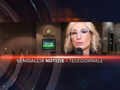 senigallia notizie telegiornale
