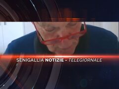 senigallia notizie telegiornale