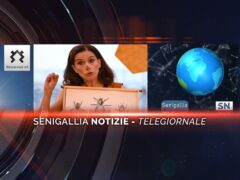 senigallia notizie telegiornale