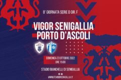 vigor-porto dascoli