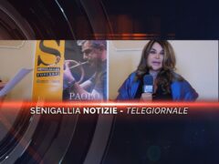 senigallia notizie telegiornale