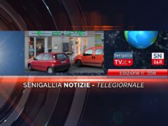 senigallia notizie telegiornale