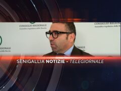 senigallia notizie telegiornale