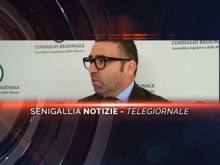 senigallia notizie telegiornale