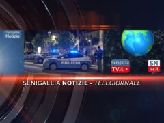 senigallia notizie telegiornale