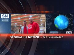 senigallia notizie telegiornale