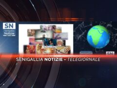 senigallia notizie telegiornale