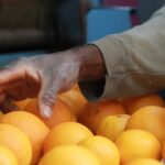 Campagna "Agrumi solidali"