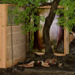 Iniziativa "Raccontare la natura"