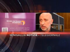 senigallia notizie telegiornale