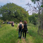 Passeggiate lungo il fiume Misa