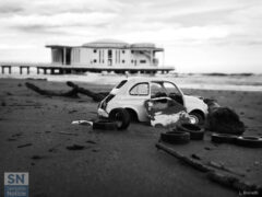 Carcassa in spiaggia - Foto Loriano Brunetti