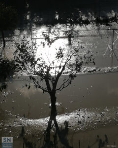 In mezzo all'acqua una luce di speranza - Foto Maria Pia Marini