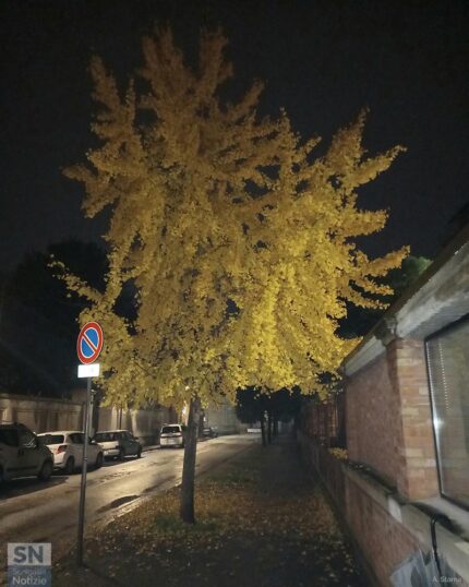 Notturno in giallo - Foto Antonella Starna