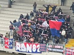Tifosi Vigor