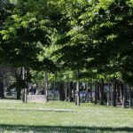 Giardini pubblici, parco pubblico, alberi