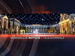 senigallia notizie telegiornale