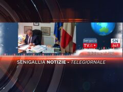 senigallia notizie telegiornale
