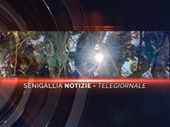 senigallia notizie telegiornale