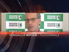 senigallia notizie telegiornale