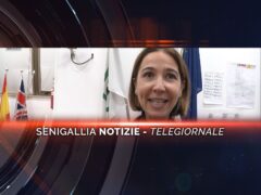 senigallia notizie telegiornale