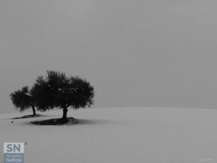 Gelo in bianco e nero - Foto Floriana Giacchini