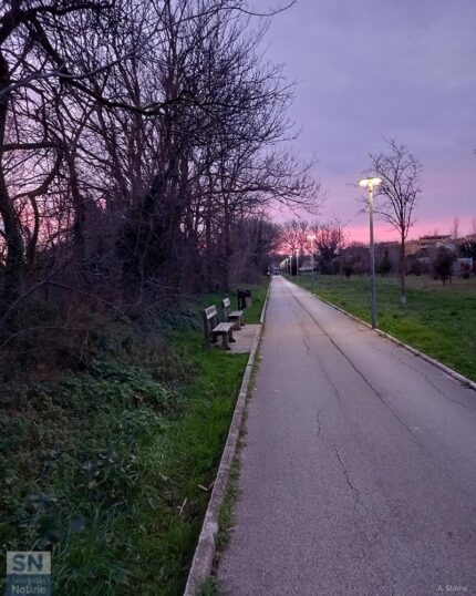 Il viale del tramonto - Foto Antonella Starna