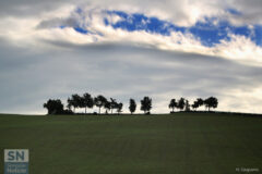 Serata di dicembre - Foto Mauro Gasparini