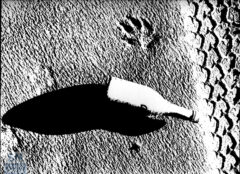 Ombre e orme - Foto Loriano Brunetti