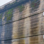 Situazione di degrado al cimitero di Ripe