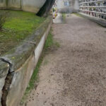 Situazione di degrado al cimitero di Ripe