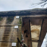 Situazione di degrado al cimitero di Ripe