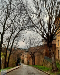 L'abbraccio degli alberi - Foto Sabina Bittoni