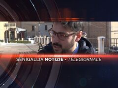 senigallia notizie telegiornale
