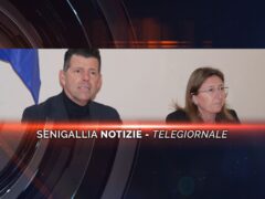 senigallia notizie telegiornale