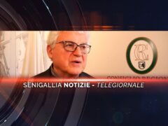 senigallia notizie telegiornale