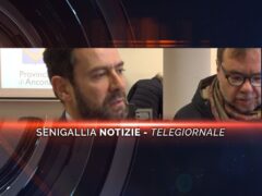 senigallia notizie telegiornale