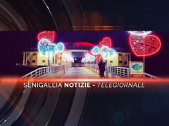 senigallia notizie telegiornale