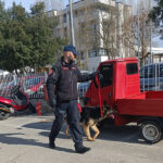 Controlli Carabinieri Cinofili presso campus scolastico di Senigallia