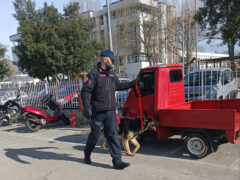 Controlli Carabinieri Cinofili presso campus scolastico di Senigallia