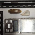 Arresto a Senigallia per spaccio di eroina