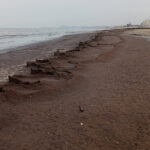 Detriti in spiaggia a Senigallia