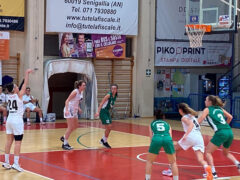 Basket 2000 Senigallia - Porto San Giorgio