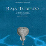 Raja Torpedo di Leonardo Badioli