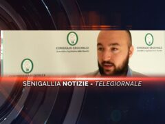 senigallia notizie telegiornale