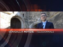 senigallia notizie telegiornale