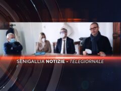 senigallia notizie telegiornale