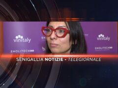 senigallia notizie telegiornale