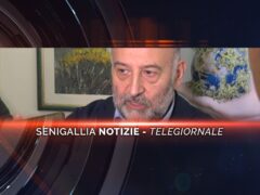 senigallia notizie telegiornale