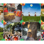 Festa dei Folli e sostenibilità